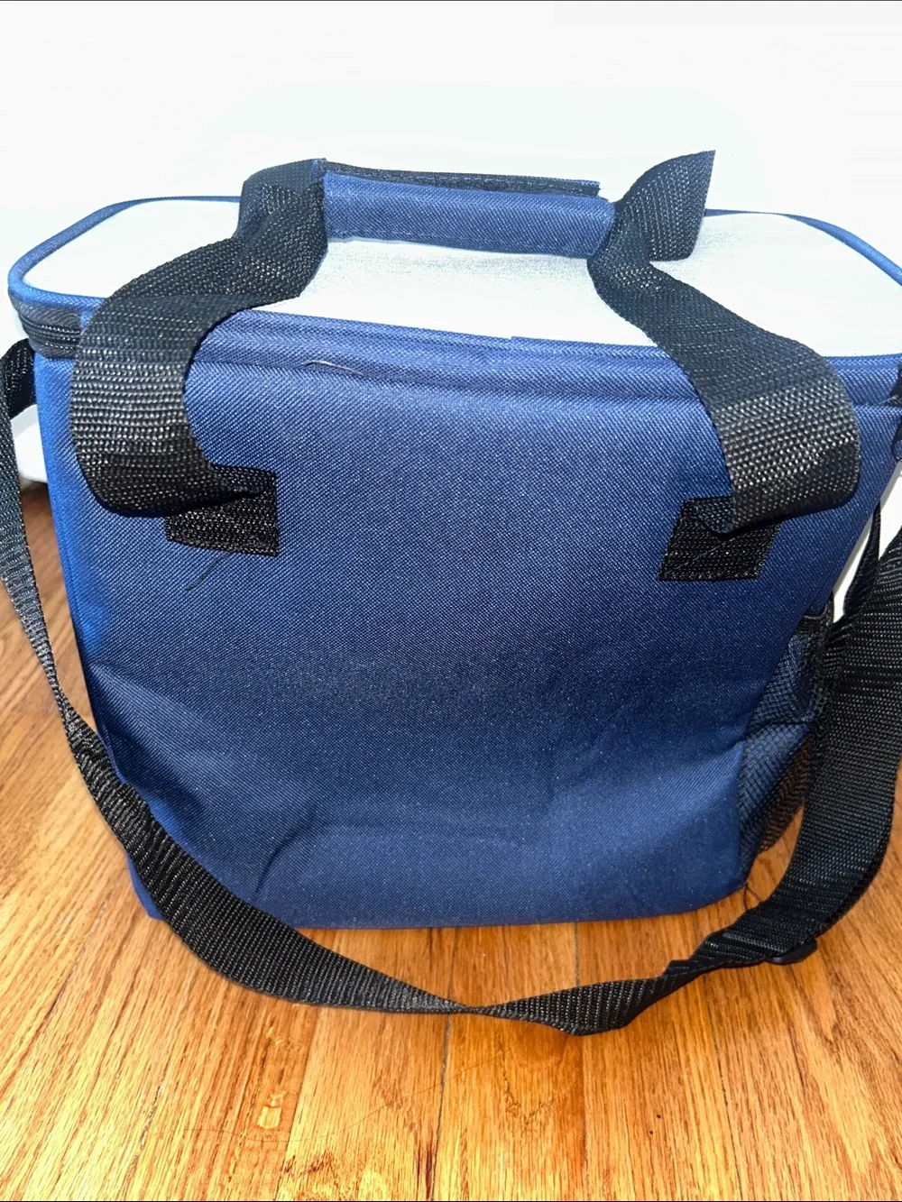 Blue and Grey New Spacious Insulated Cooler Beach Bag 12x16